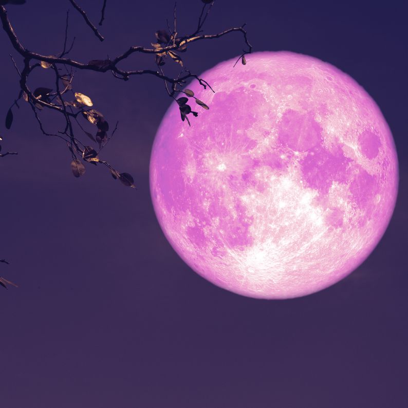 【2026年ピンクムーン】意味・願い事・やること|大切な想いを“ちゃんと残す日”