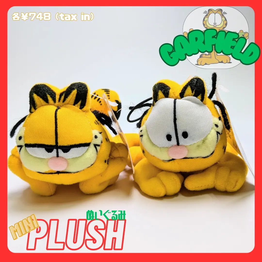 📢 ねこちゃーーーん🐱😁