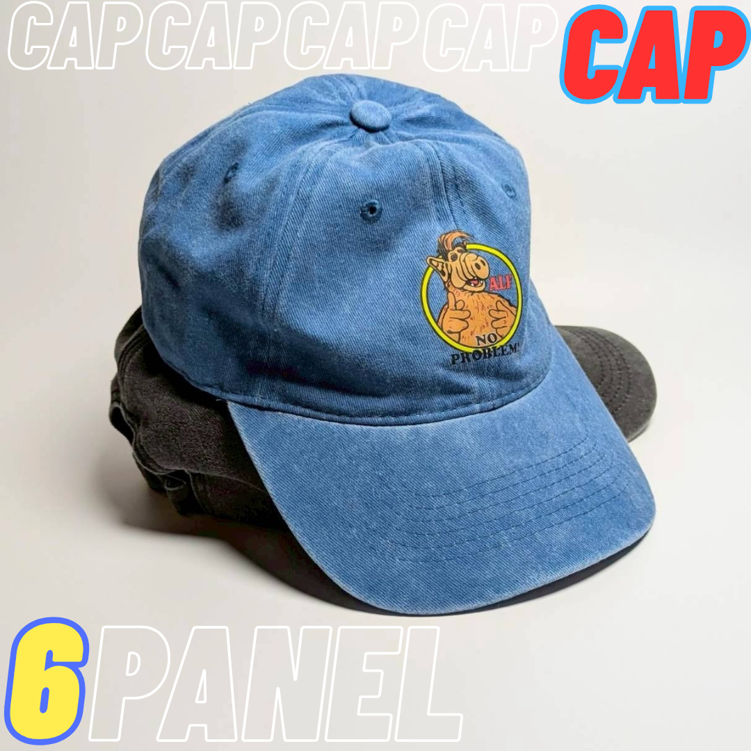 📢 ALFの可愛くお手頃な6PANEL CAP入荷🧢🇺🇸