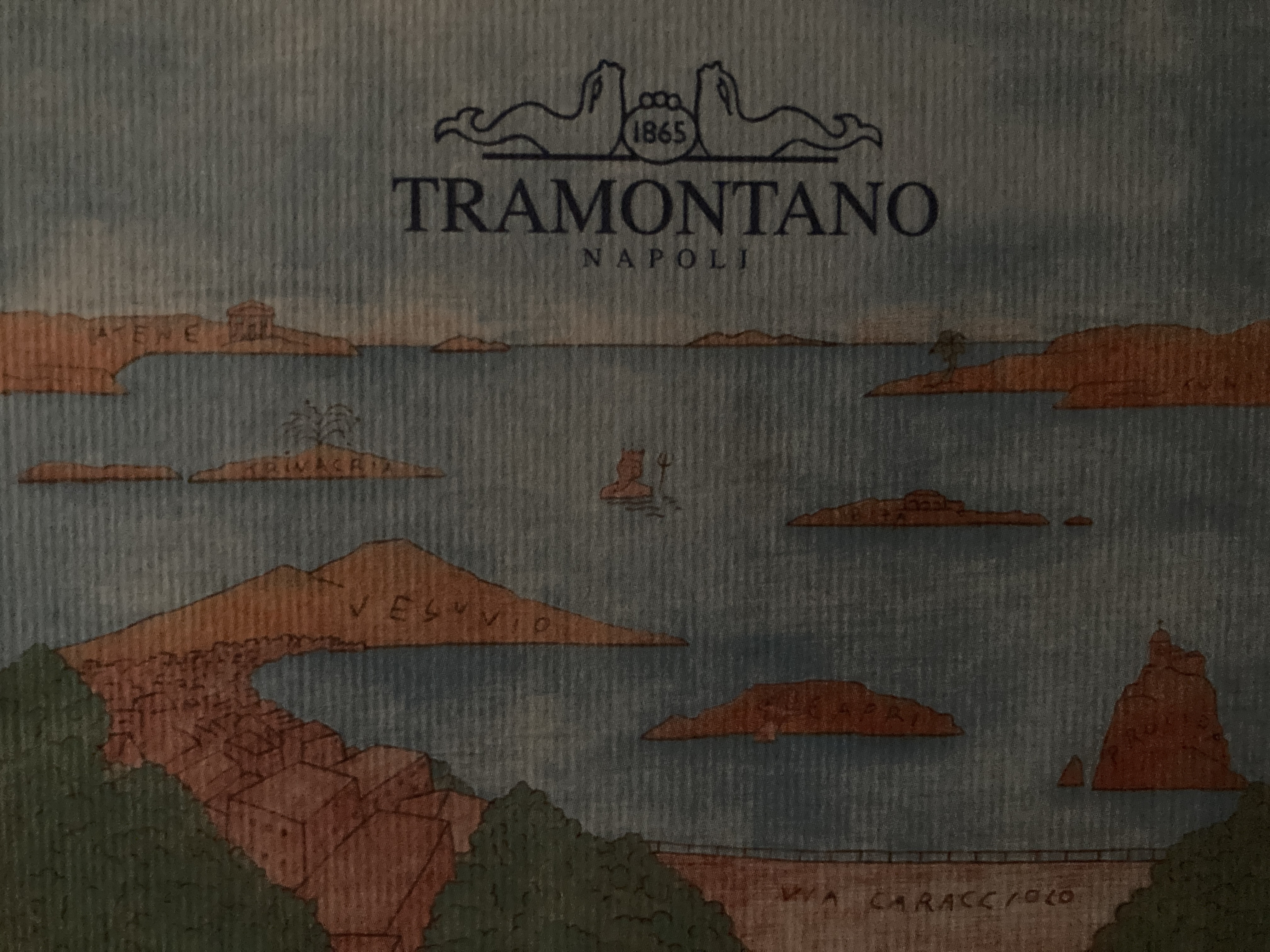 TRAMONTANO GRAINLEATHER TOTE BAG