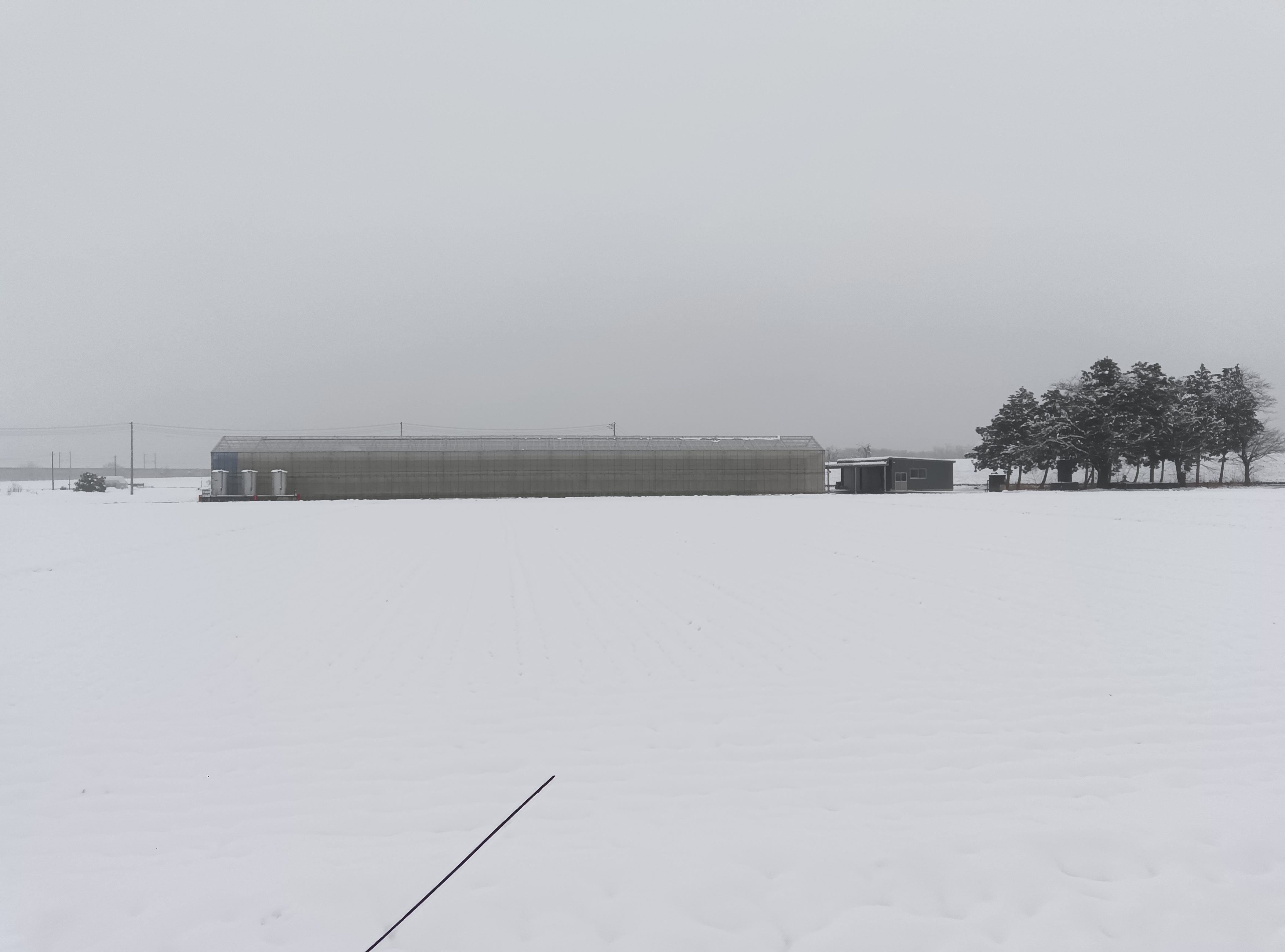 雪