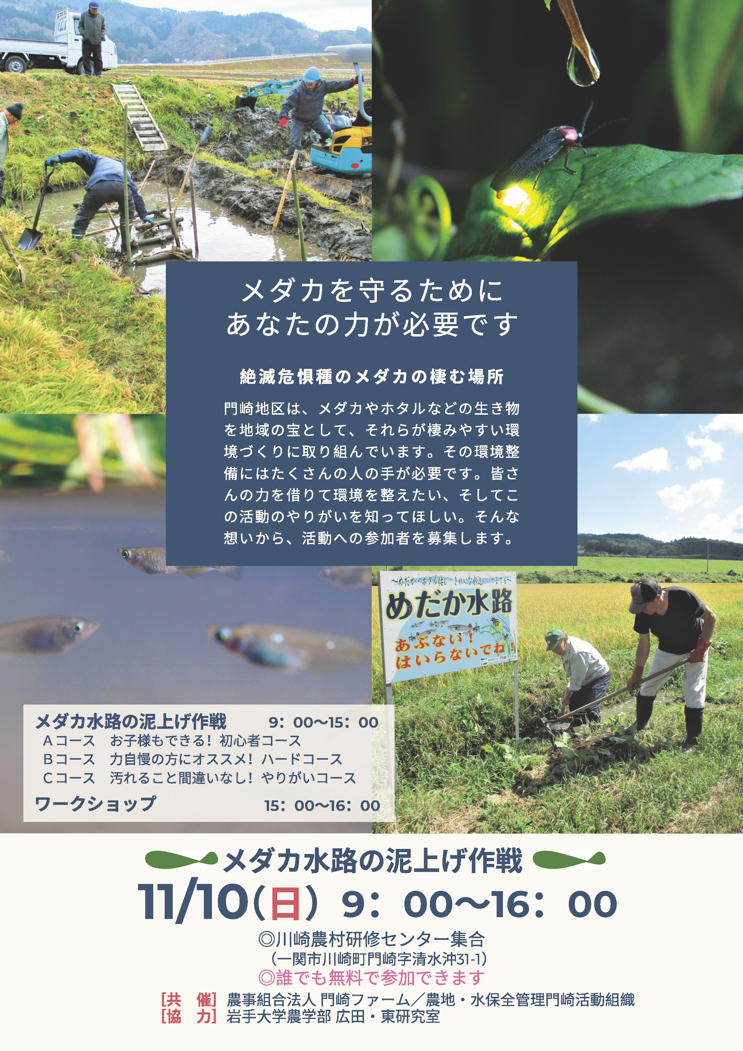 「メダカ水路の泥上げ作戦」参加者大募集！