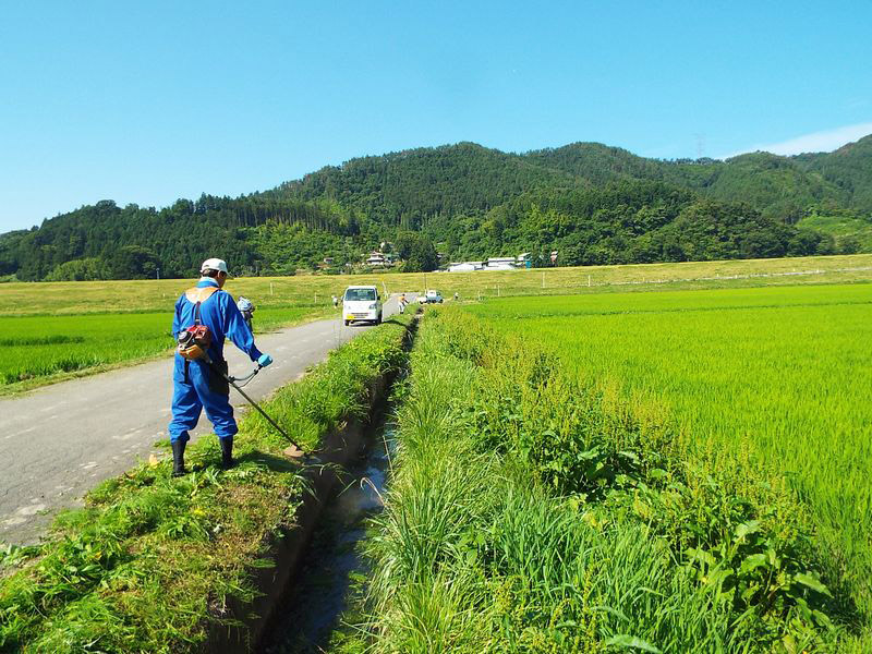 夏の作業風景