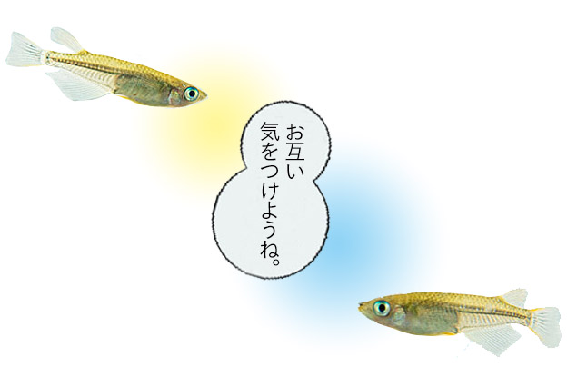 ● ゴールデンウィークのお知らせ ●