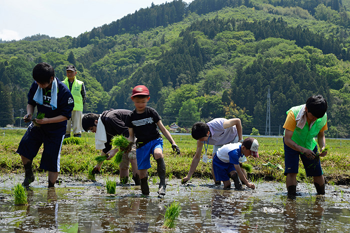 2018年 メダカ田んぼのお田植え会　開催日のお知らせ　　 >* ))))><　♪