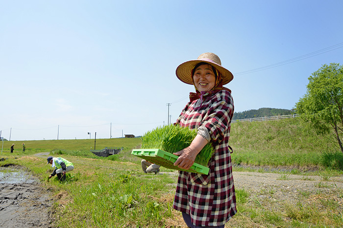 令和元年 >* ))))>< メダカ田んぼのお田植え会 のお知らせ!