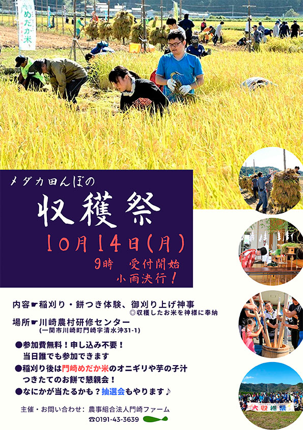 令和元年  >◕ ))))>< メダカ田んぼの収穫祭のお知らせ ２