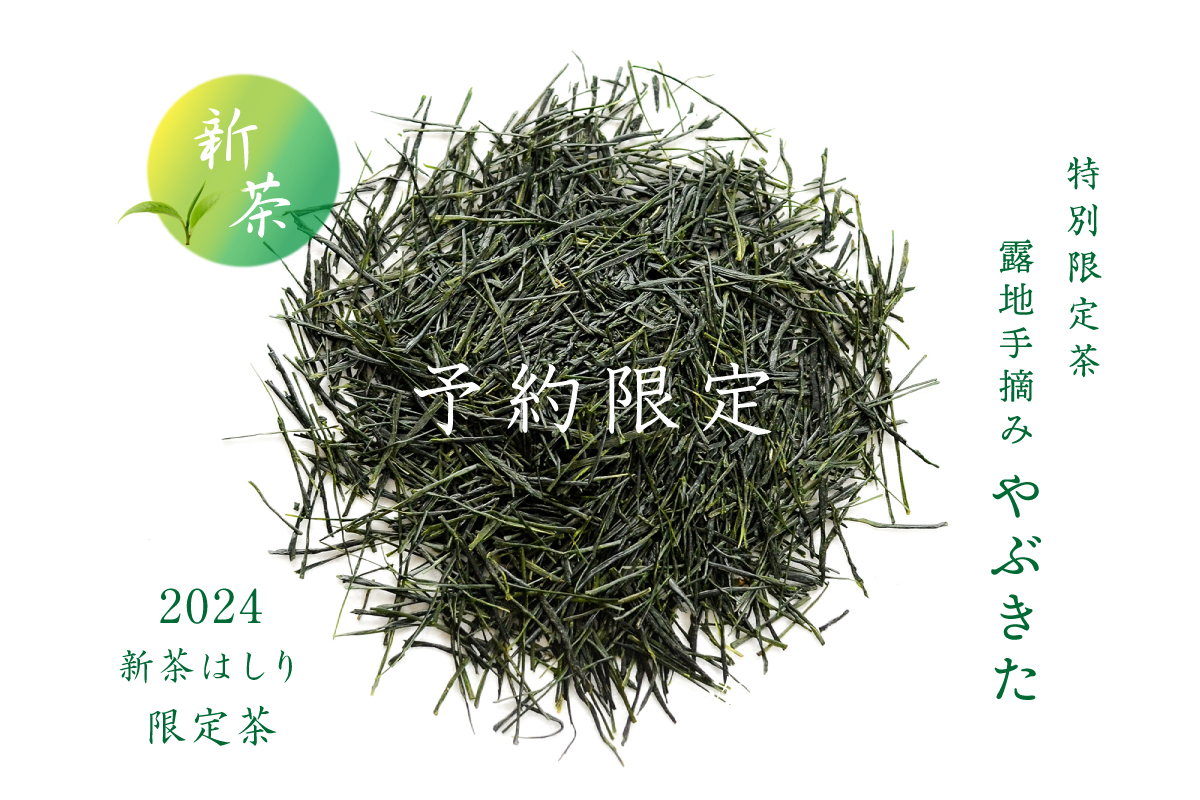 【予約限定】 露地手摘み「やぶきた みる芽」2024特別新茶