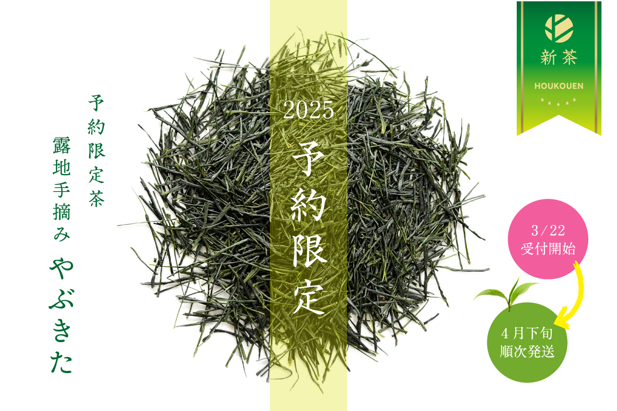 【予約限定】 露地手摘み「やぶきた みる芽」2025特別新茶