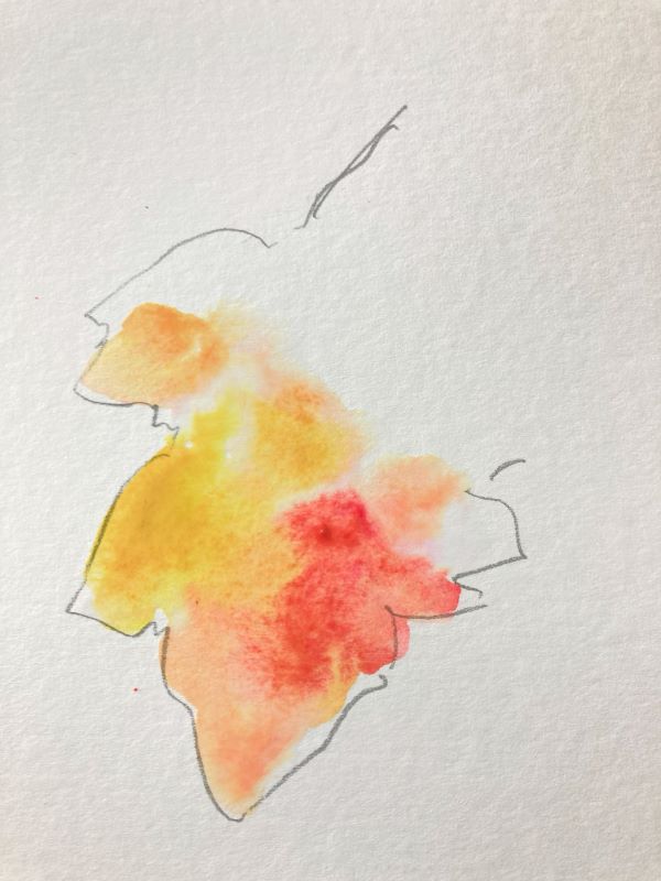 褒められた