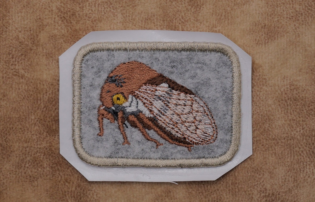 マルツノゼミ製作中 その3