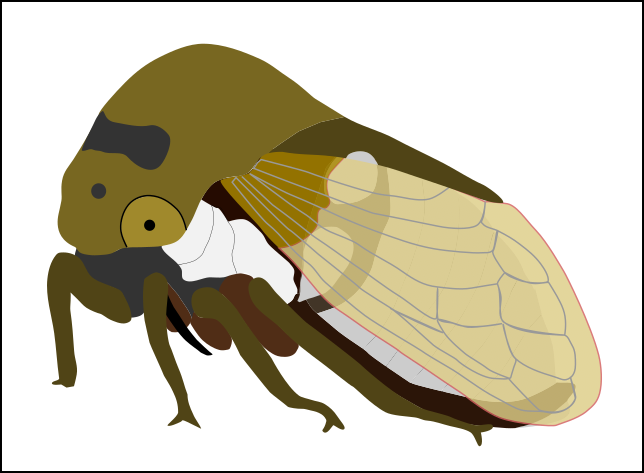 マルツノゼミ製作中