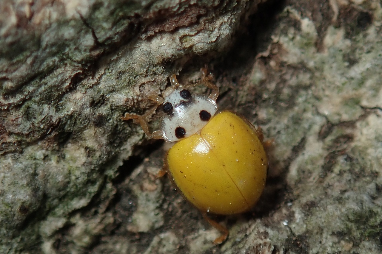 探しているわけではないけれど