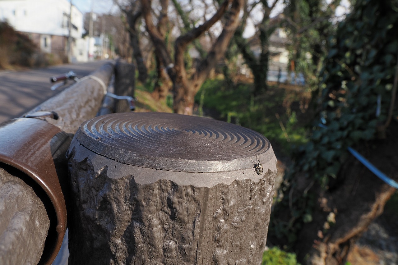 擬木とフユシャク