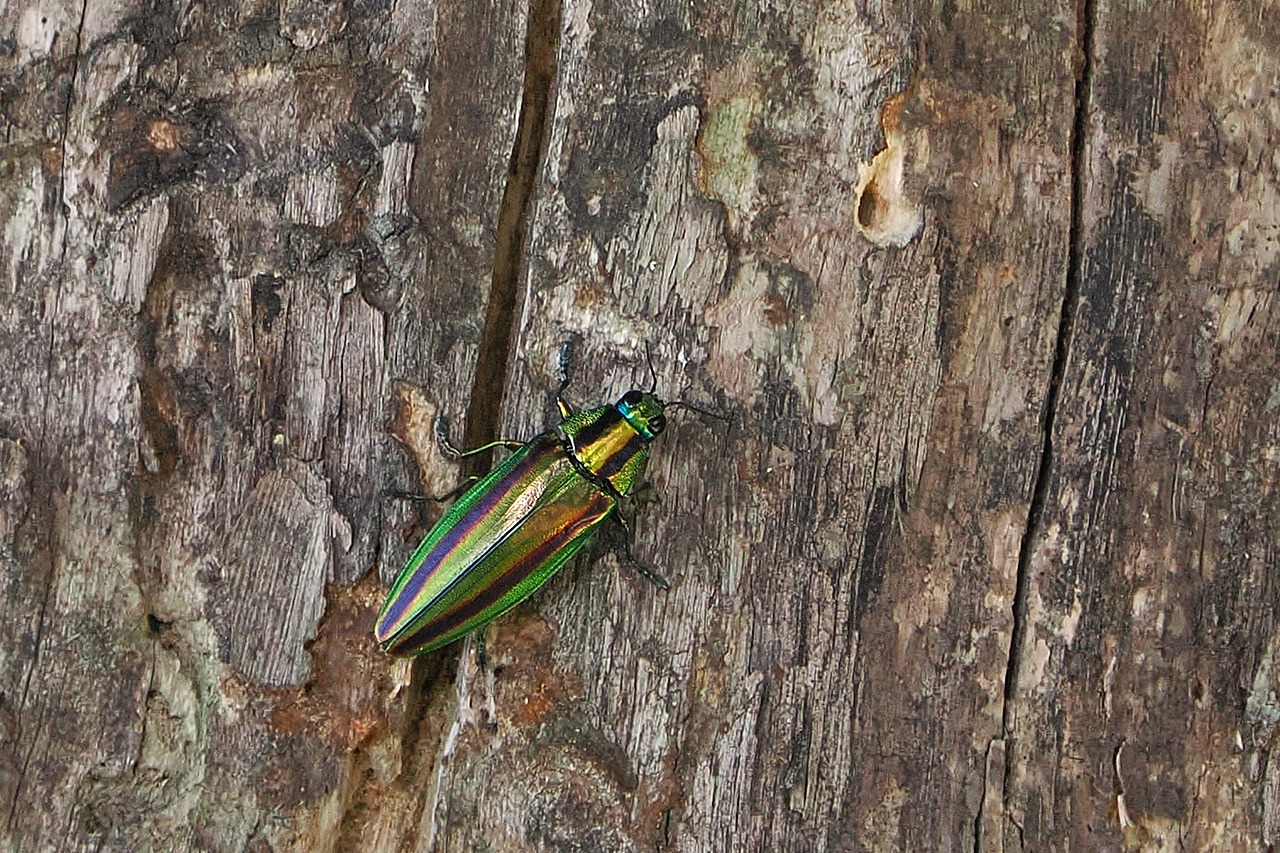 うまくいかない