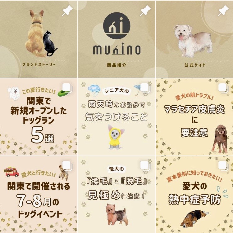 Instagramで愛犬家さん向けの情報発信をしています！