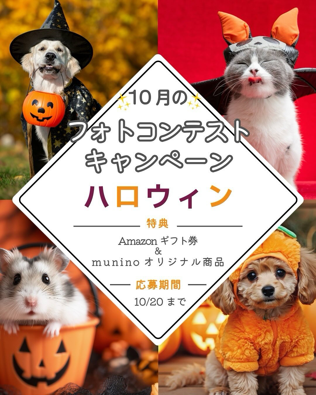 【Instagram】ハロウィンフォトキャンペーン実施中！