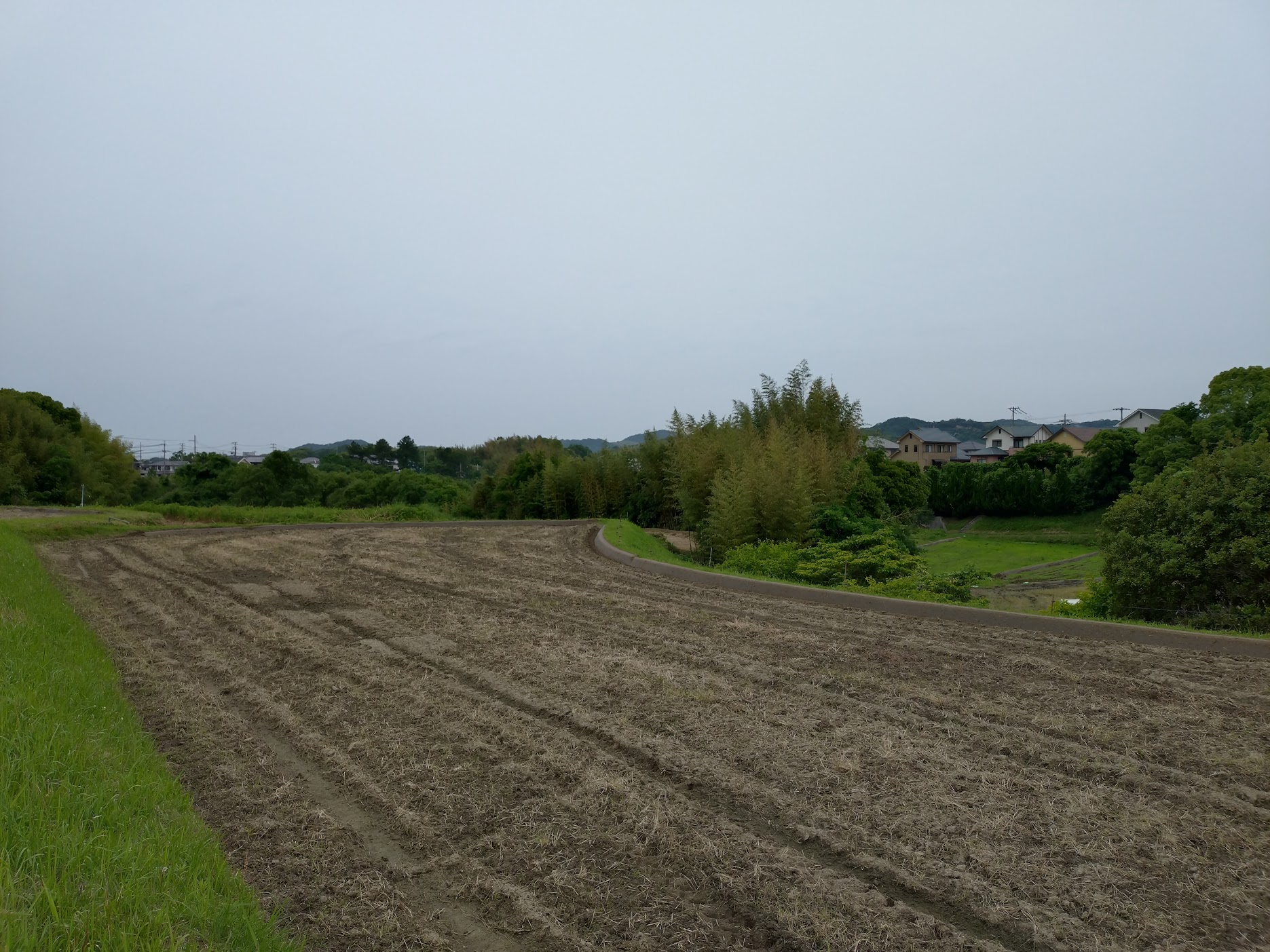 田んぼの畦塗り完了｜無農薬玉ねぎの淡路島もぐもぐファーム
