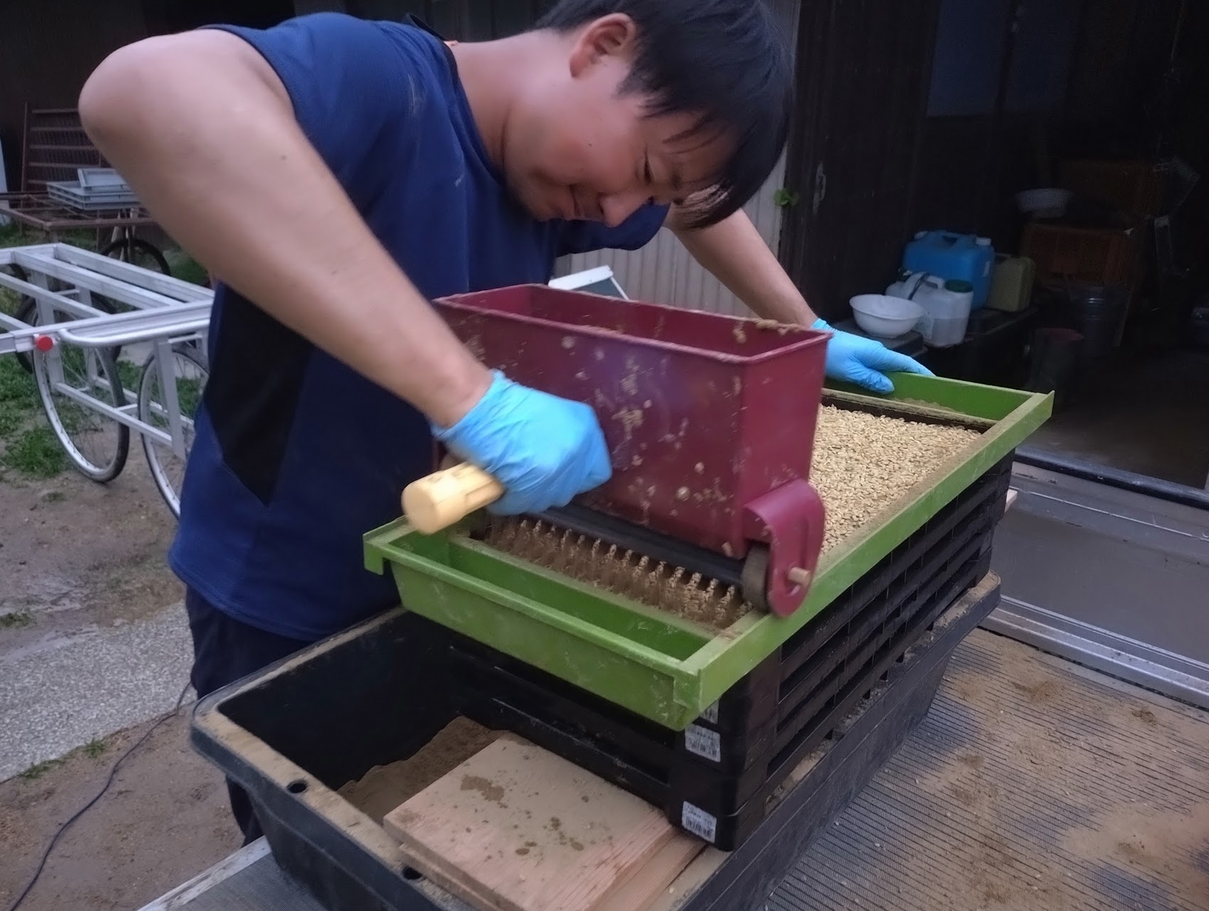 お米づくりも進んでます😄｜無農薬玉ねぎの淡路島もぐもぐファーム