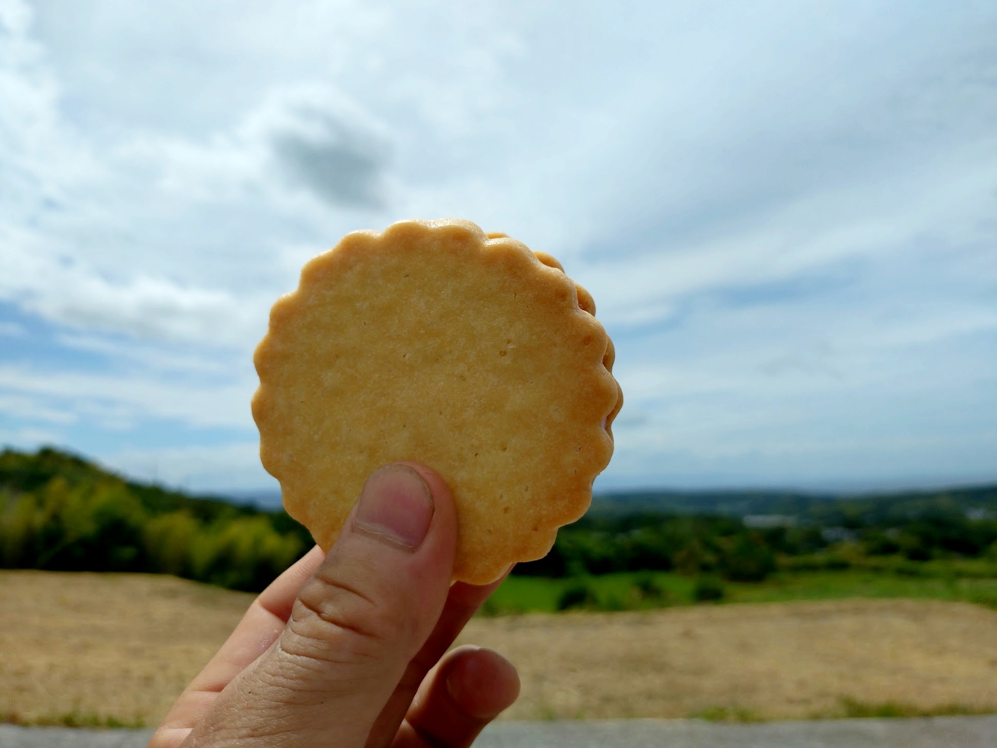 夏の美味しい😋いただき物🍨｜無農薬玉ねぎの淡路島もぐもぐファーム