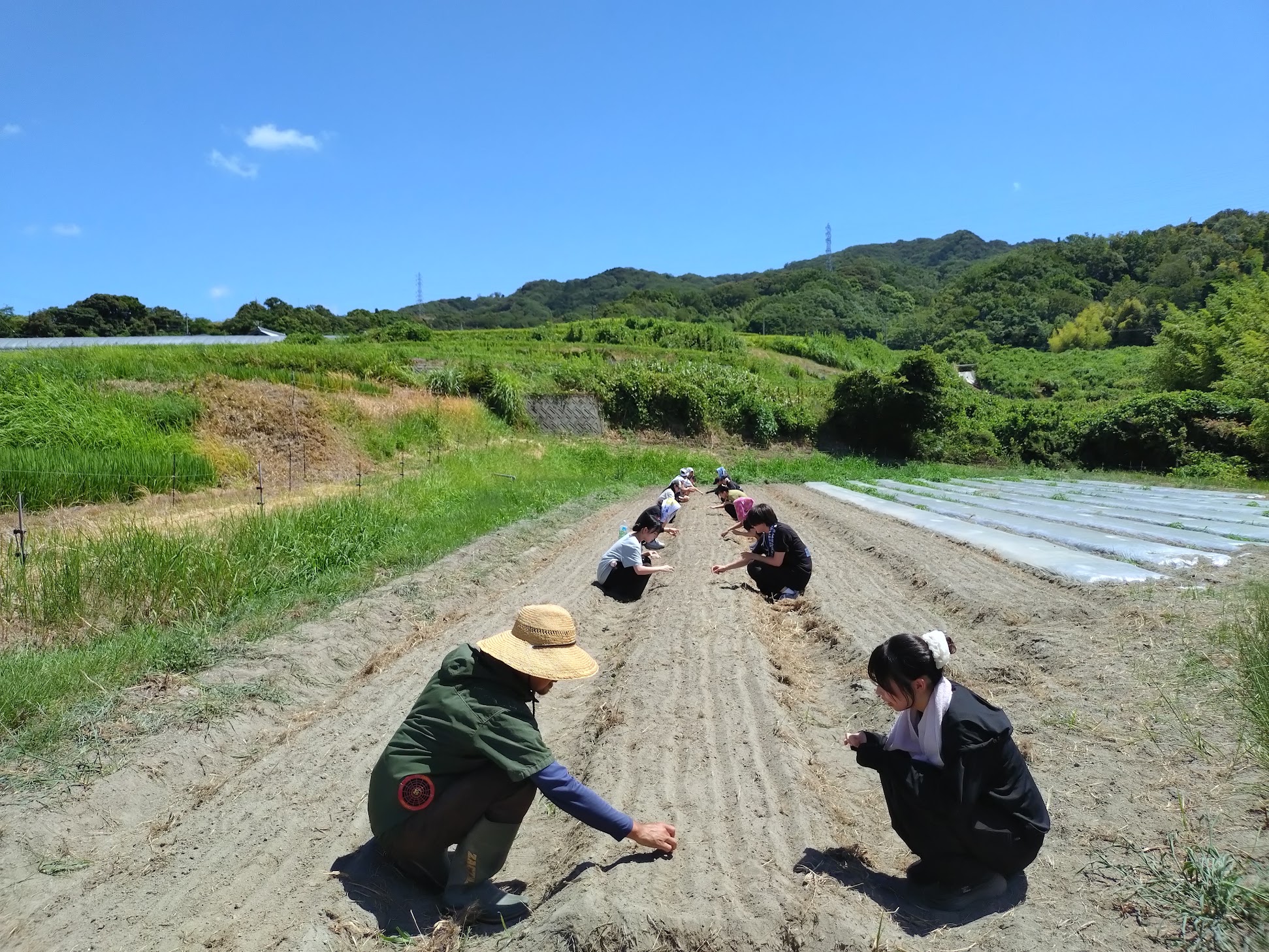夏のダイジェスト Part1🥕🌾｜無農薬玉ねぎの淡路島もぐもぐファーム