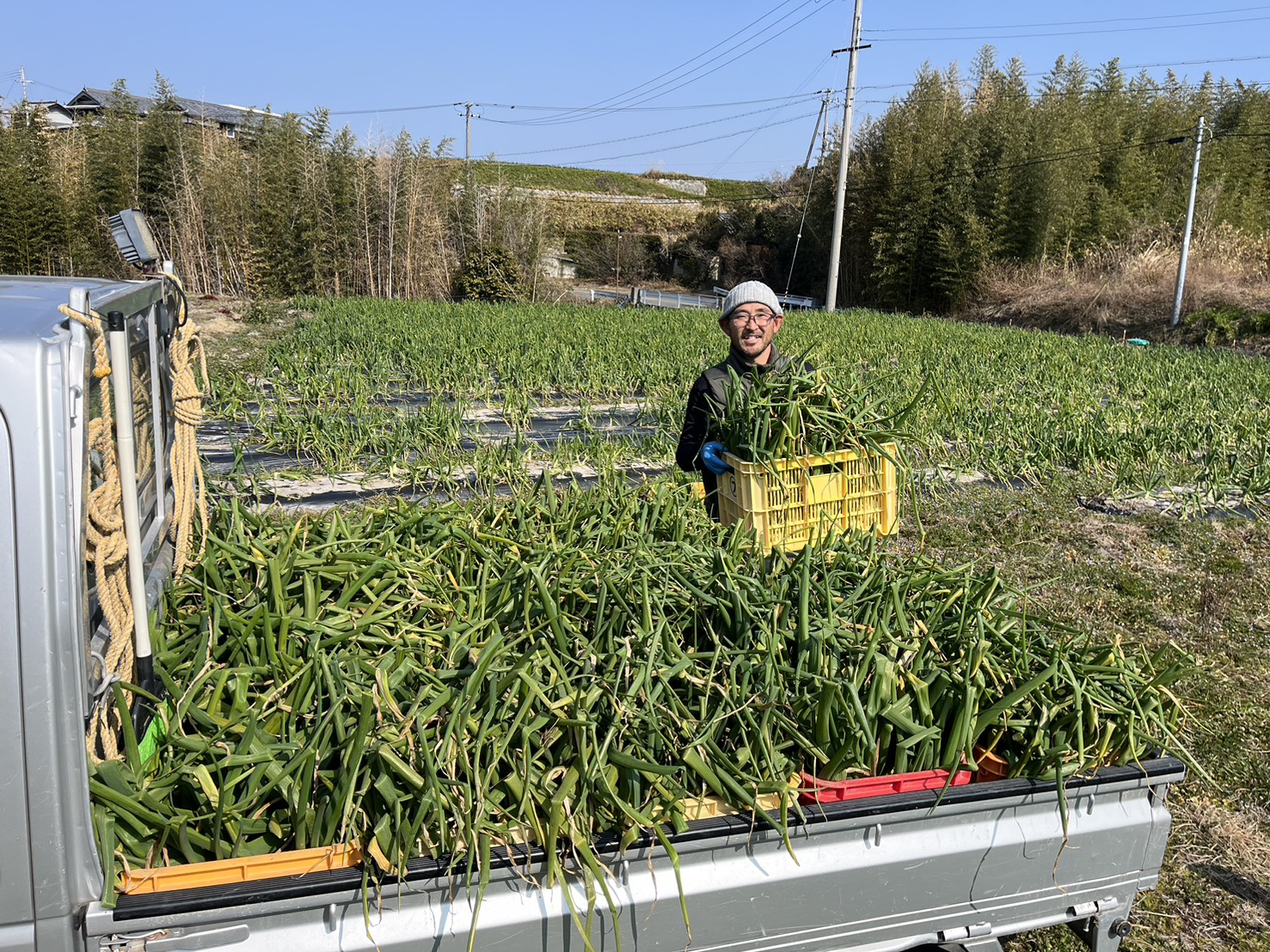 玉ねぎシーズン到来か！｜無農薬玉ねぎの淡路島もぐもぐファーム