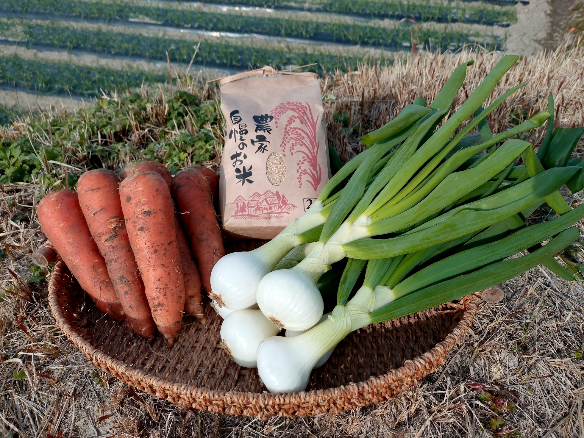 お野菜セットこんな感じです😊｜無農薬玉ねぎの淡路島もぐもぐファーム