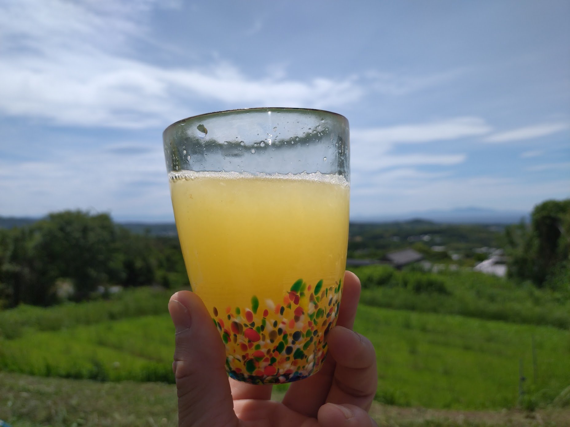 なるとオレンジ100%ジュース｜無農薬玉ねぎの淡路島もぐもぐファーム