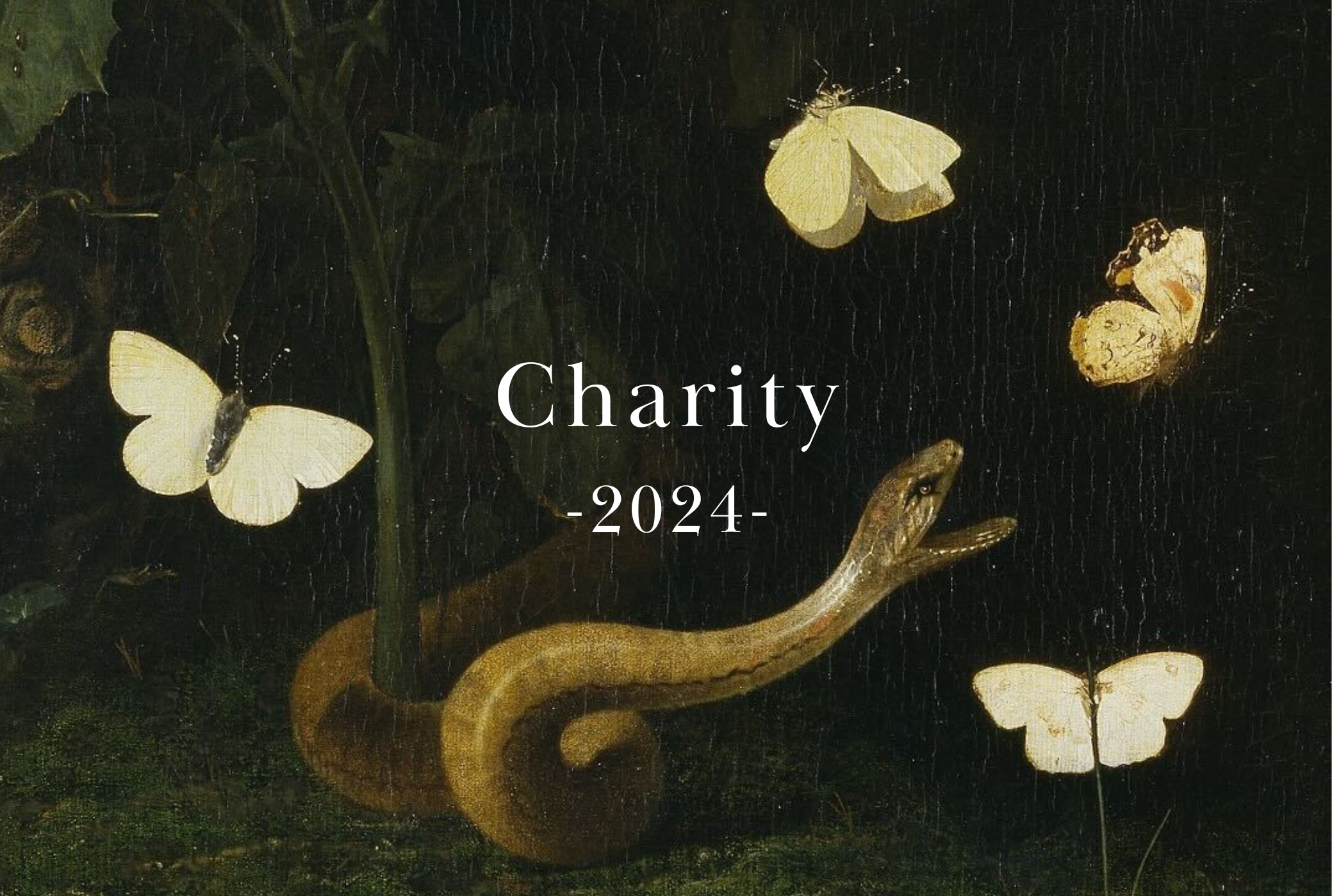 【2024】Charity