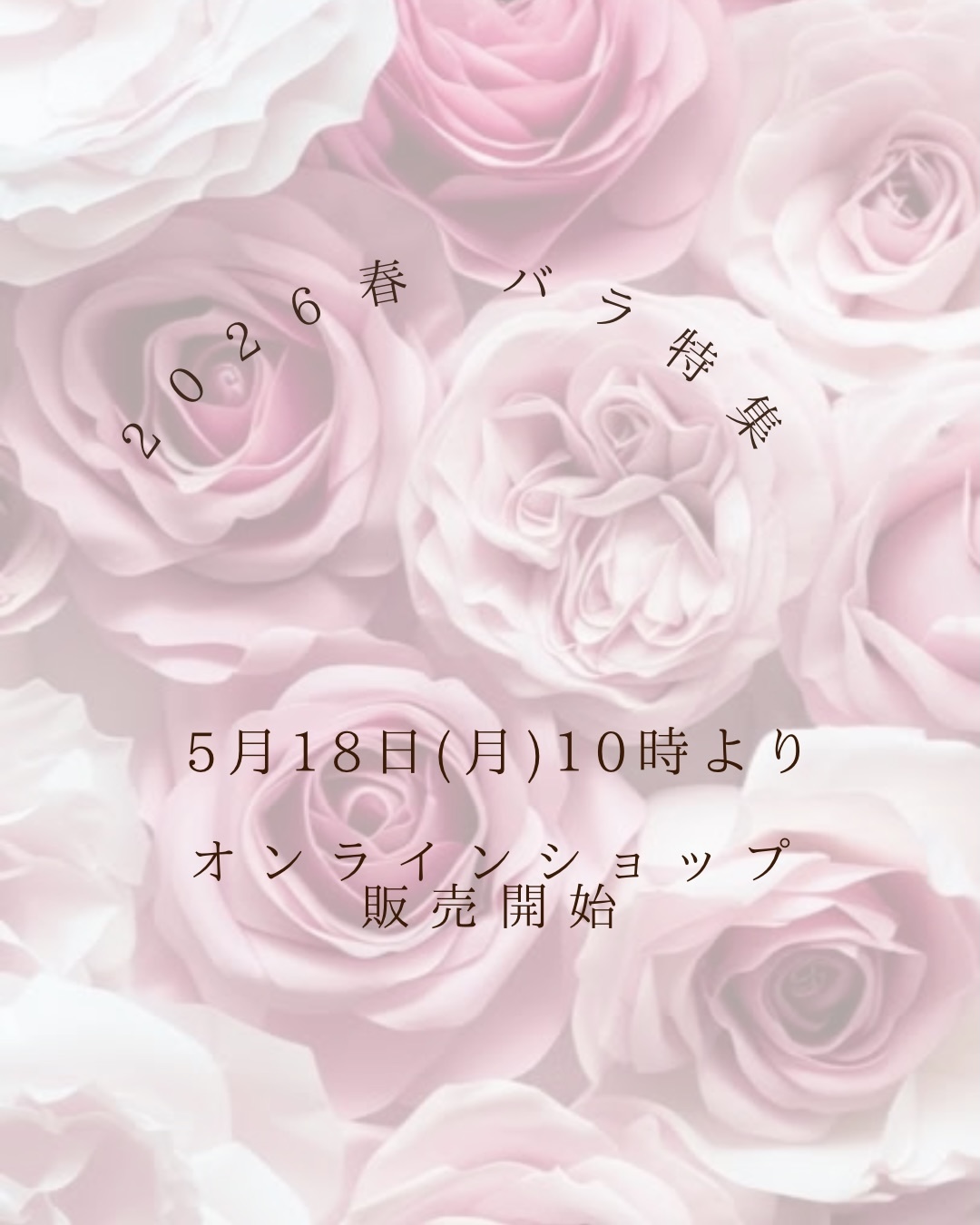 バラ特集🌹　5月18日10時より販売開始