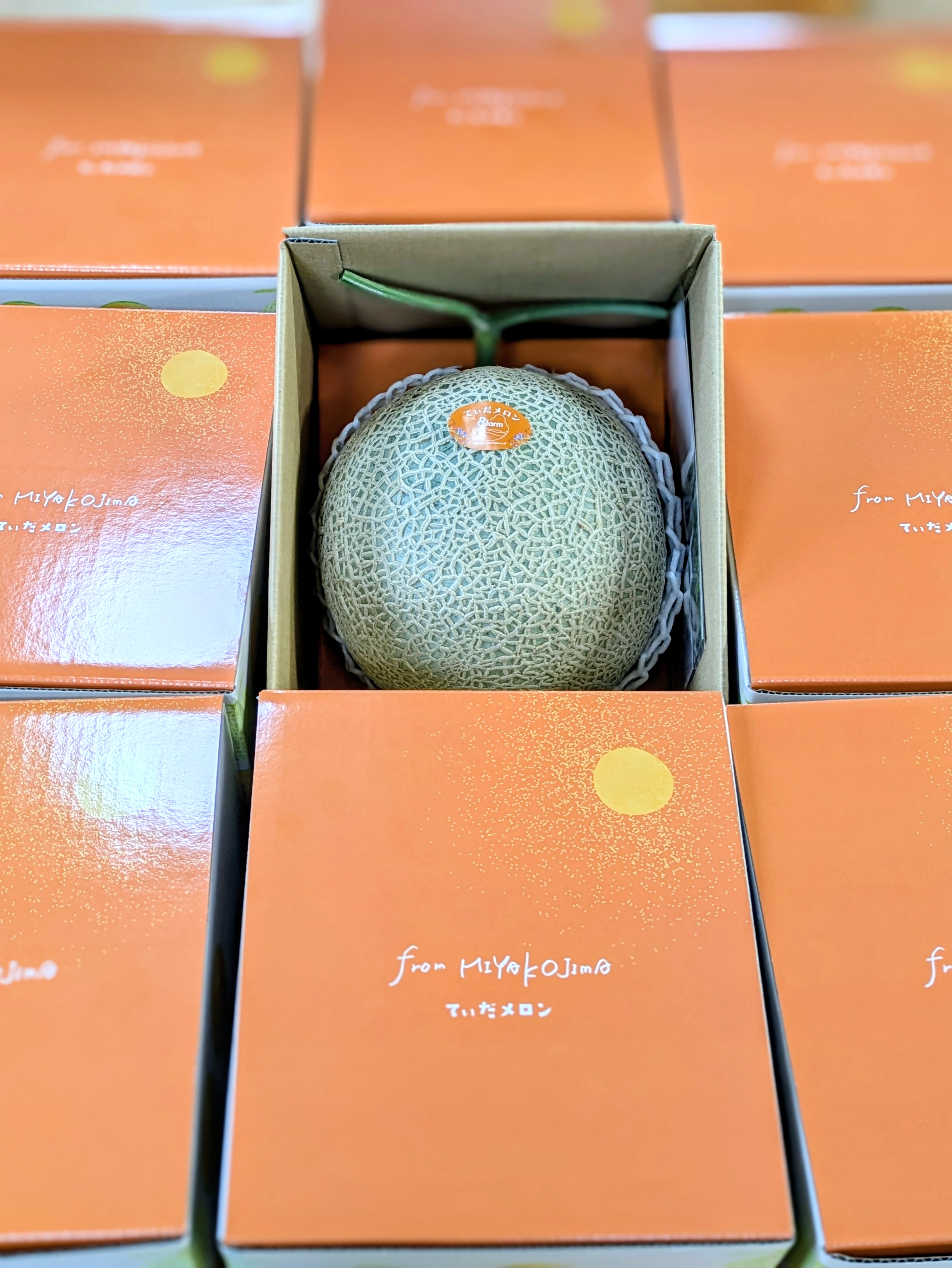 メロン箱詰めで感じたこと