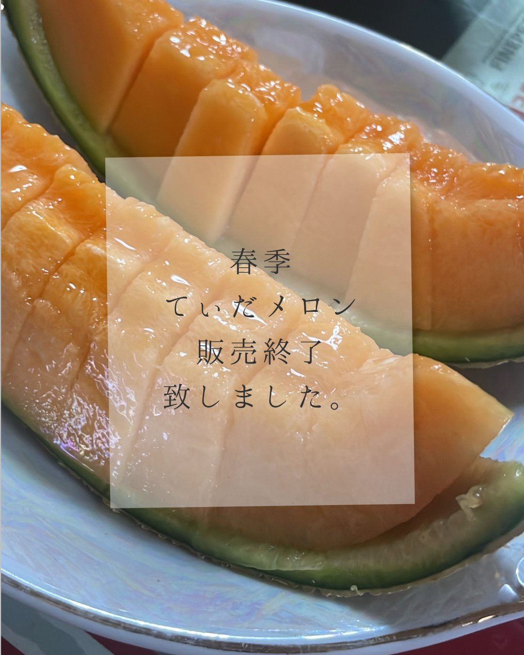 2026 春季てぃだメロン販売終了致しました。