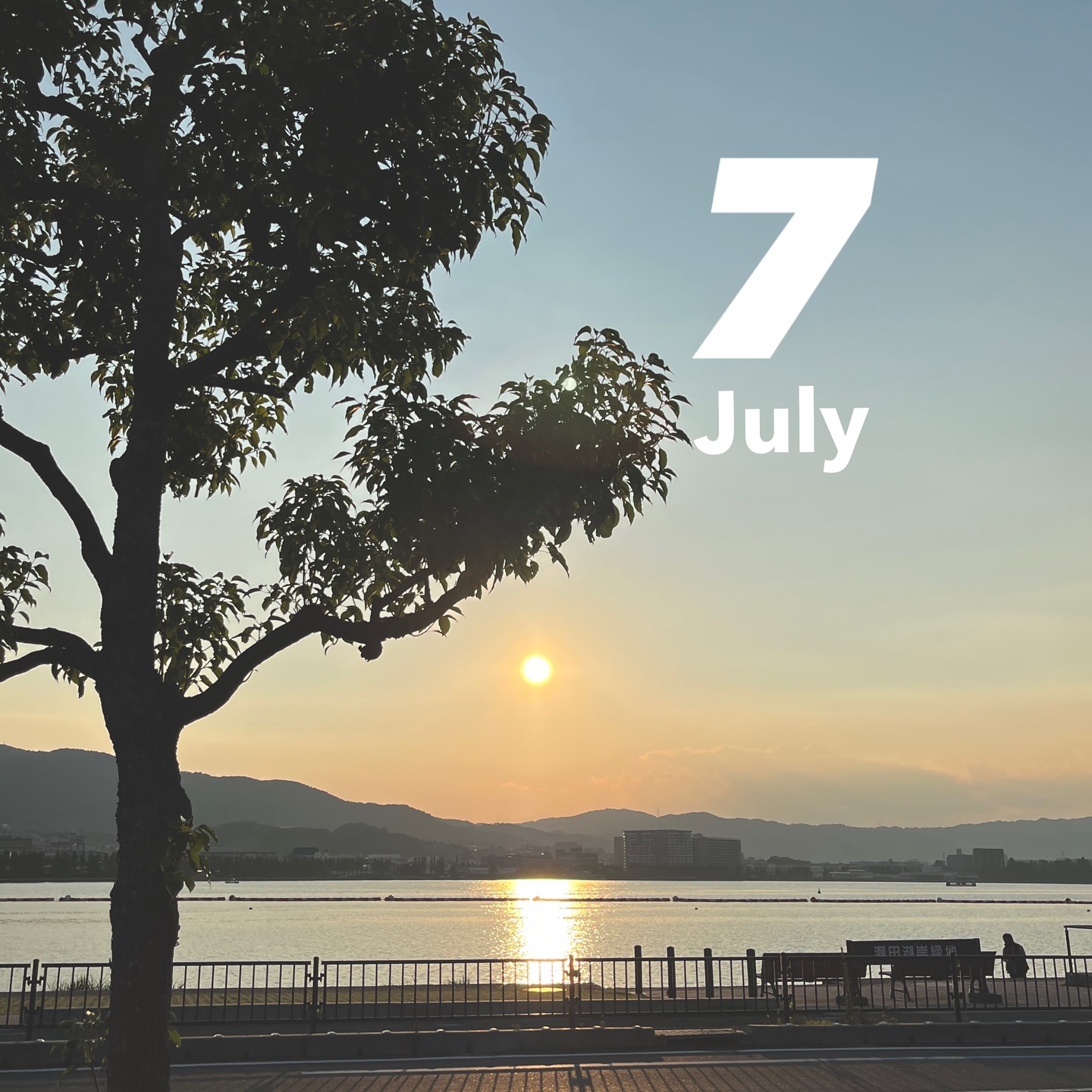 ７月の予定