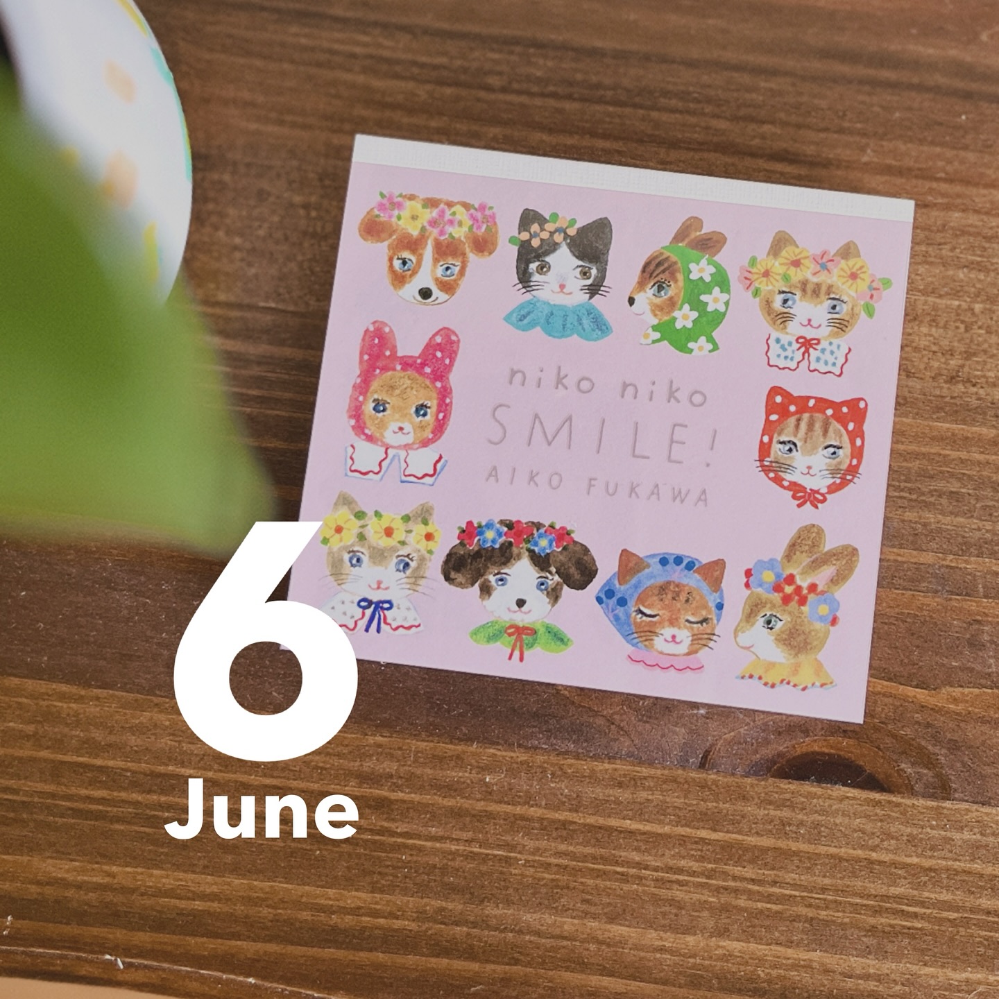 6月の予定