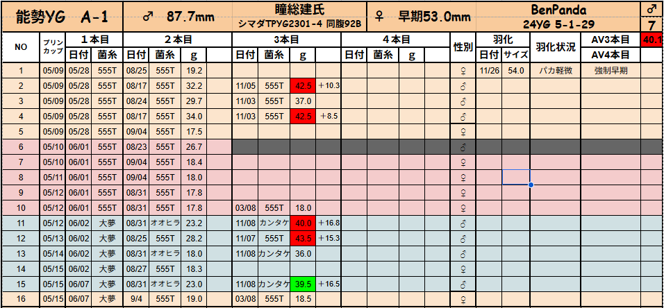 2025年　幼虫データー