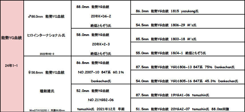 2024年ライン別血統背景
