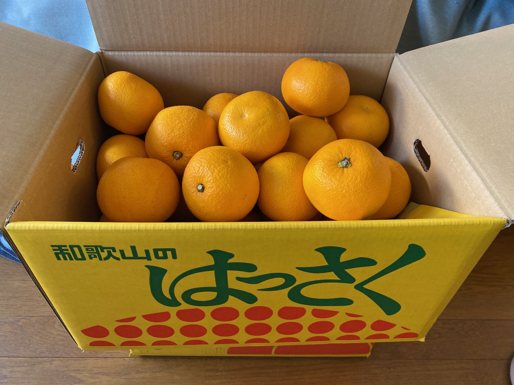 696/1095 ＊今年も “八朔（はっさく）”（2月21日）