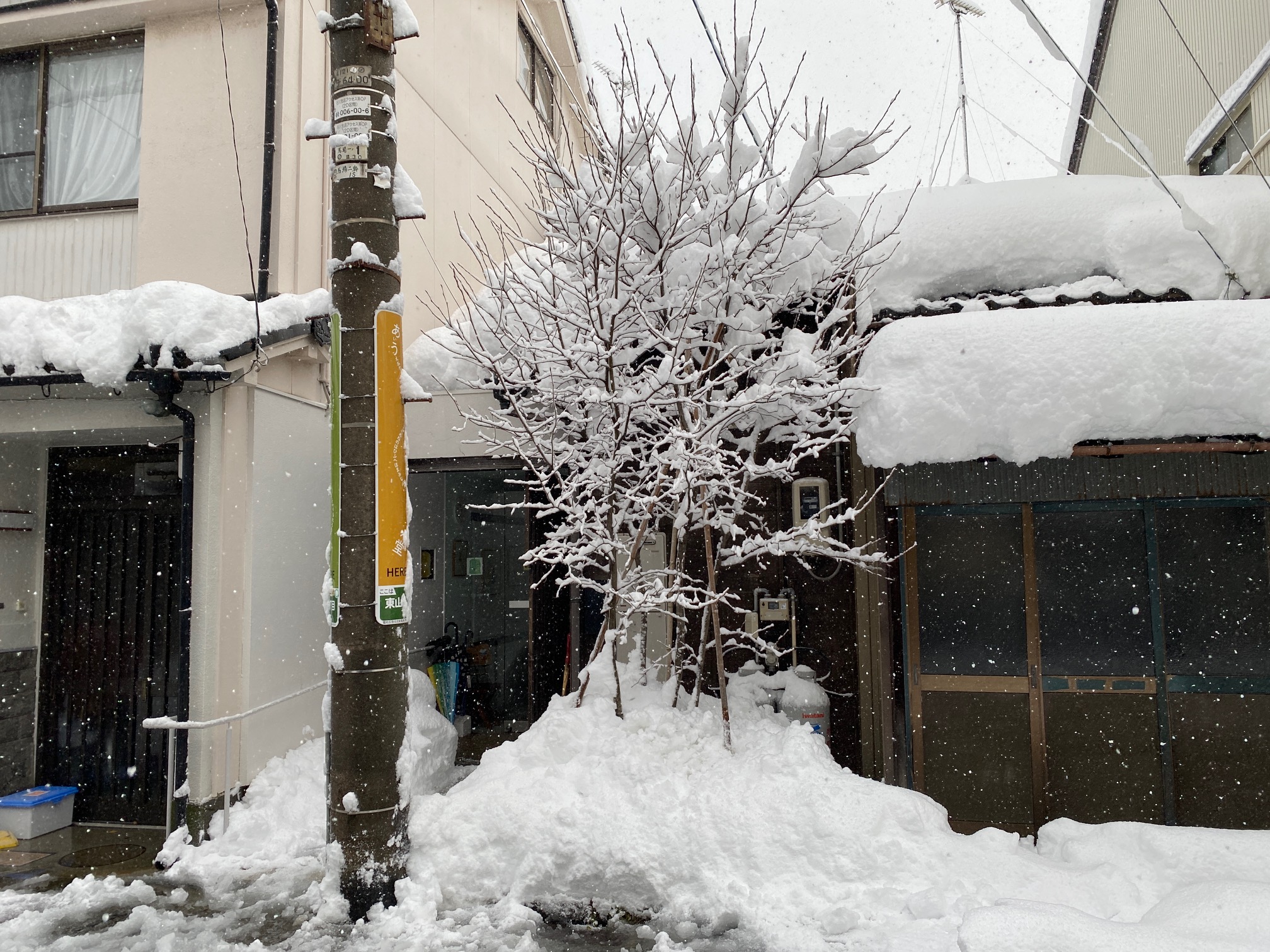 670/1095 ＊明日から冬休み（1月26日）