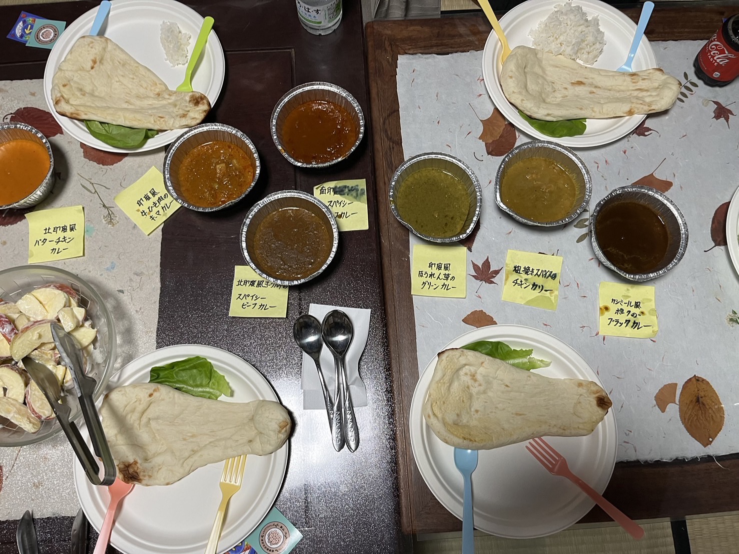 202/1095 ＊インド旅行報告会（10月15日）