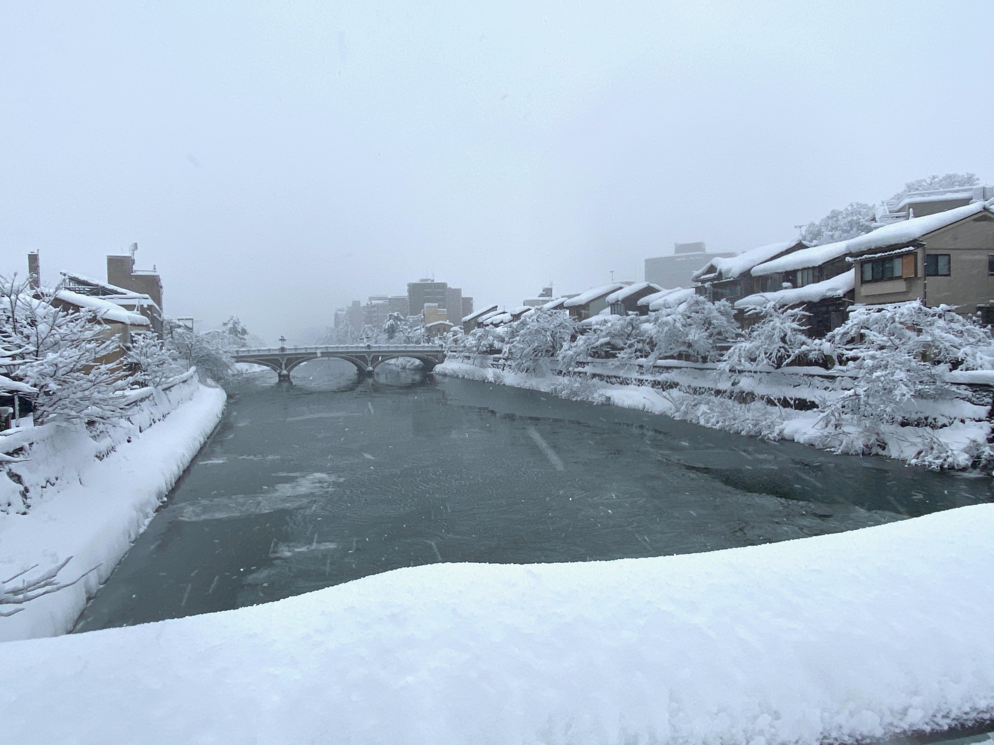 669/1095 ＊雪景色３（1月25日）