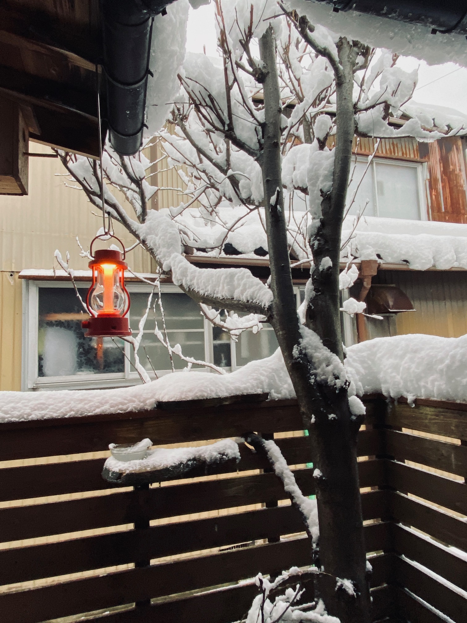 314/1095 ＊冬休み15／雪が降る１（2月4日）