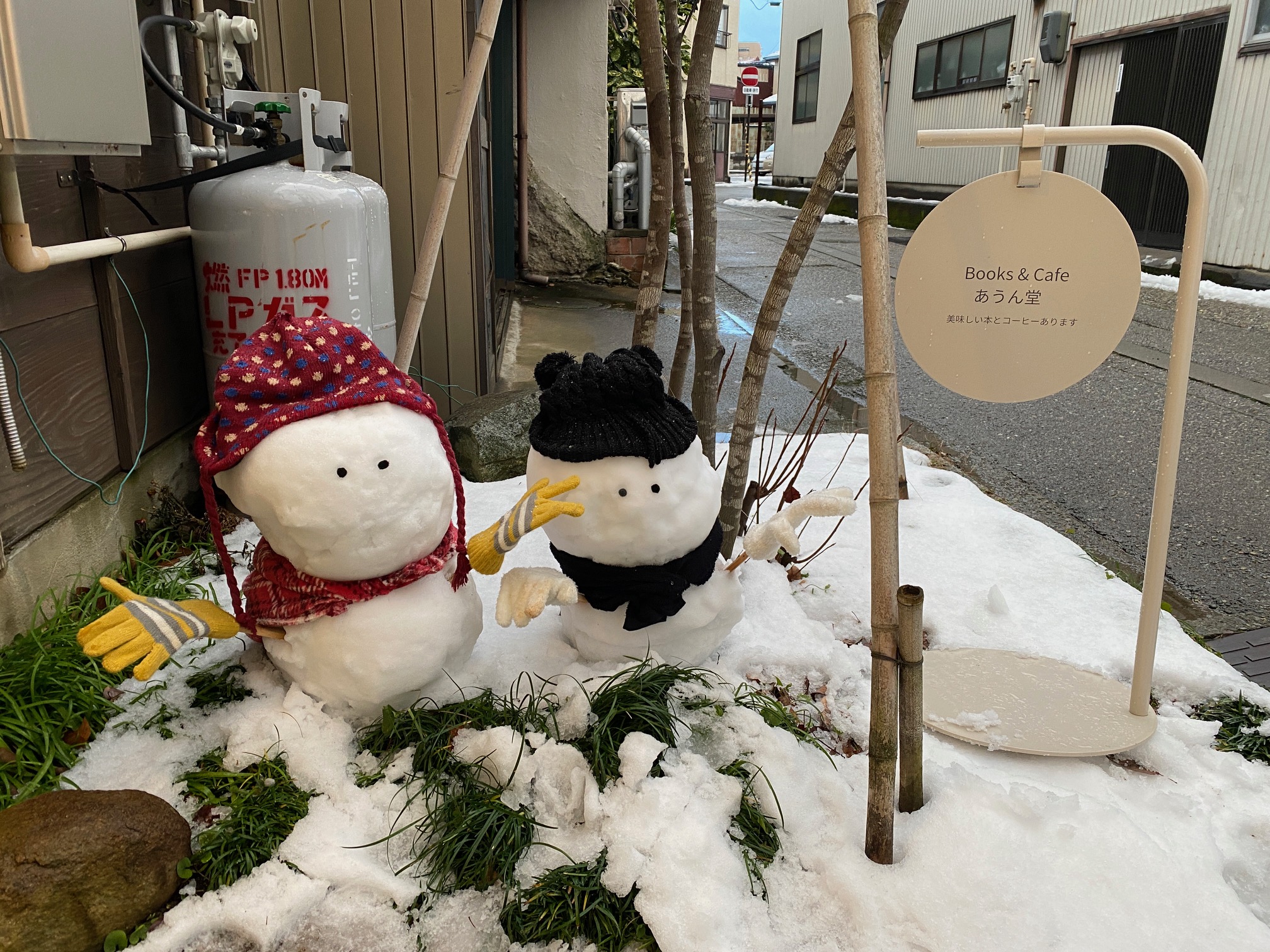 289/1095 ＊雪が降る２（1月10日）