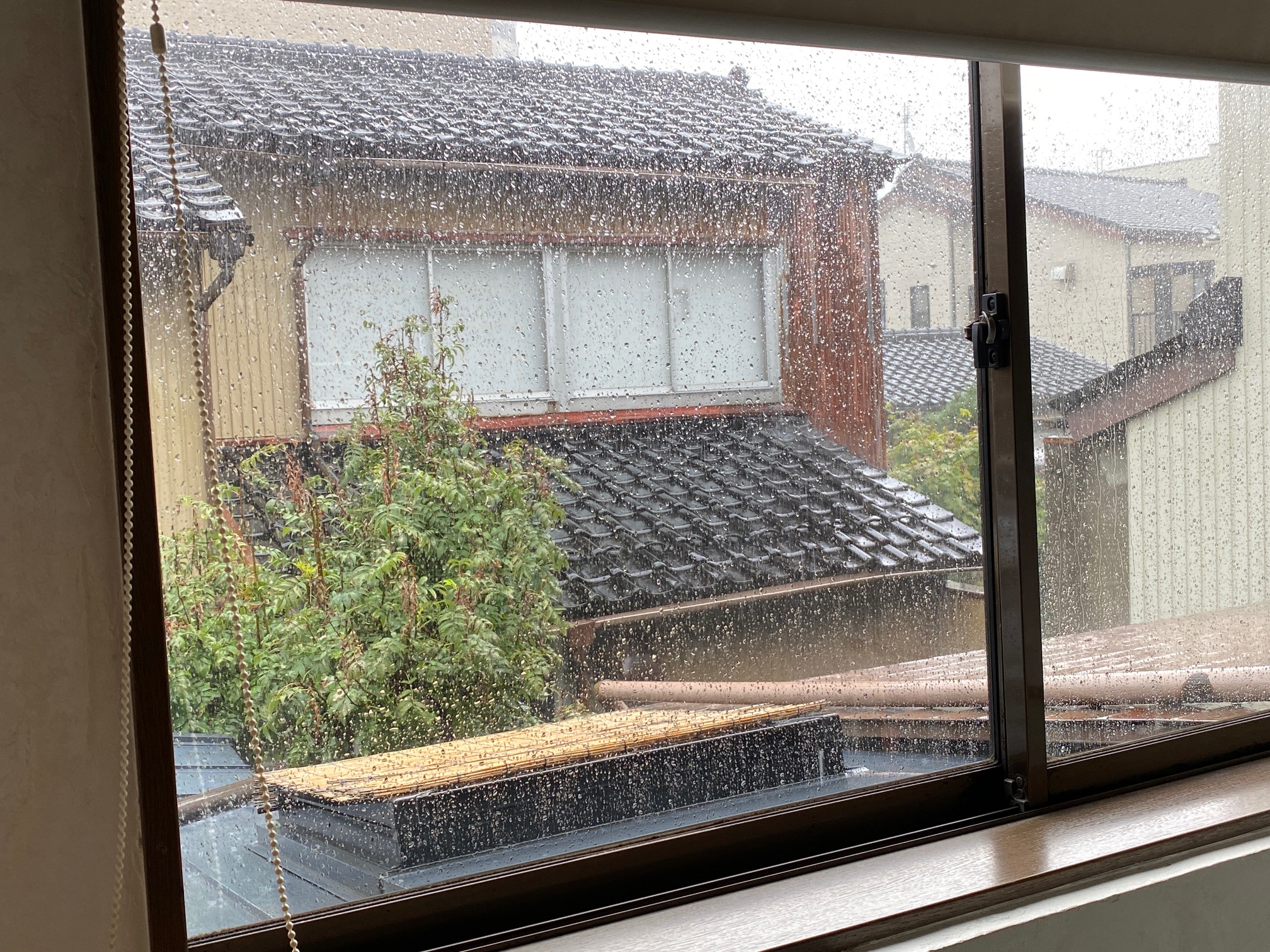 532/1095 ＊恵みの雨（9月10日）