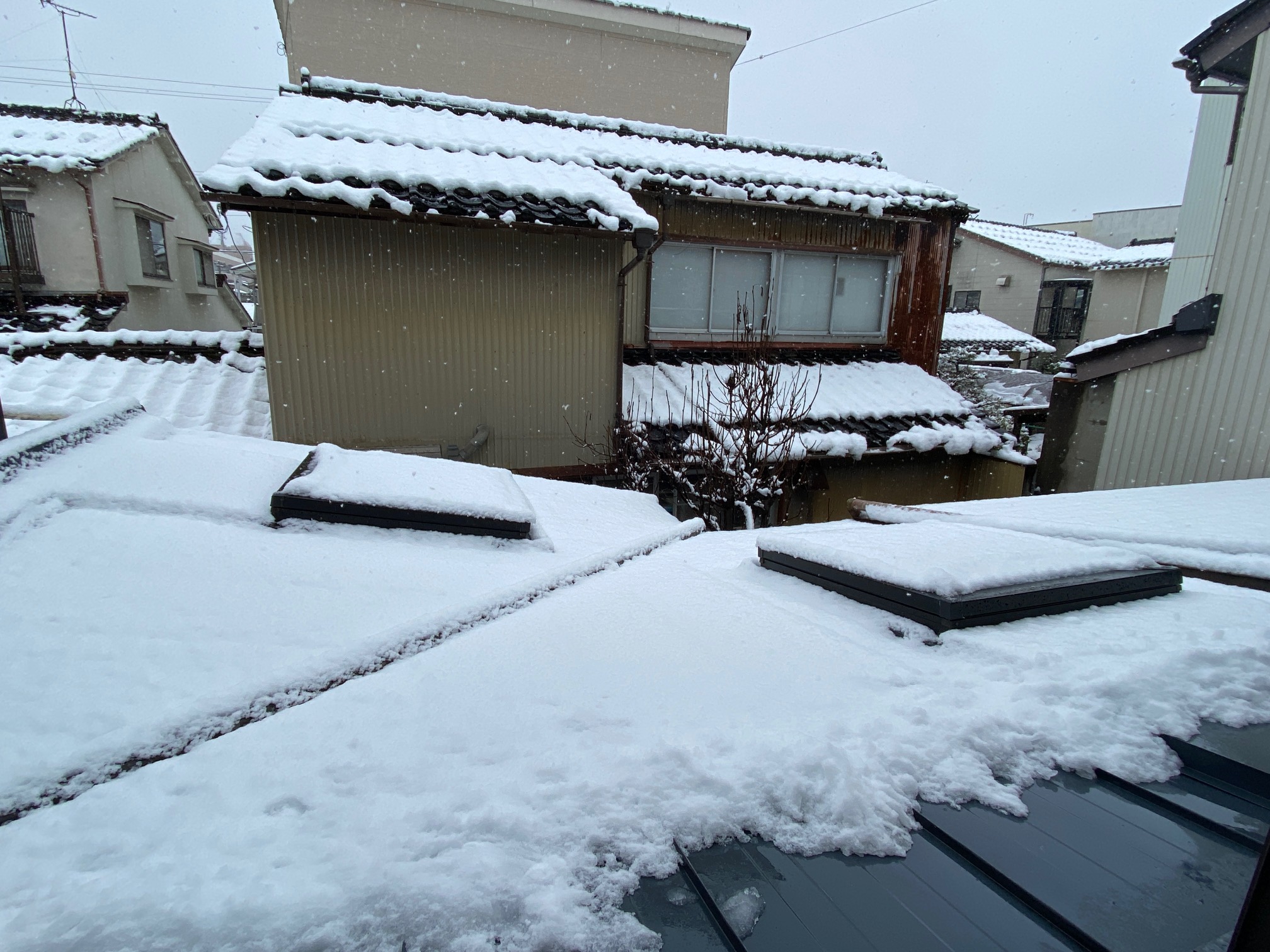 646/1095 *雪景色1(1月2日)