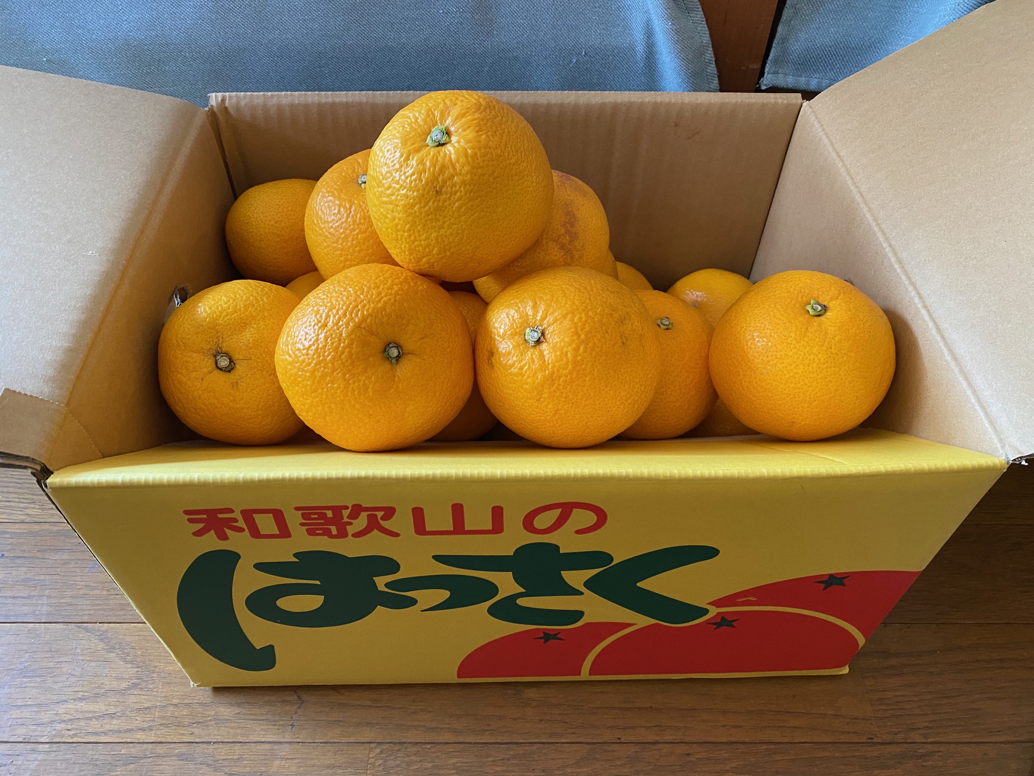 325/1095 ＊今年も八朔（2月15日）