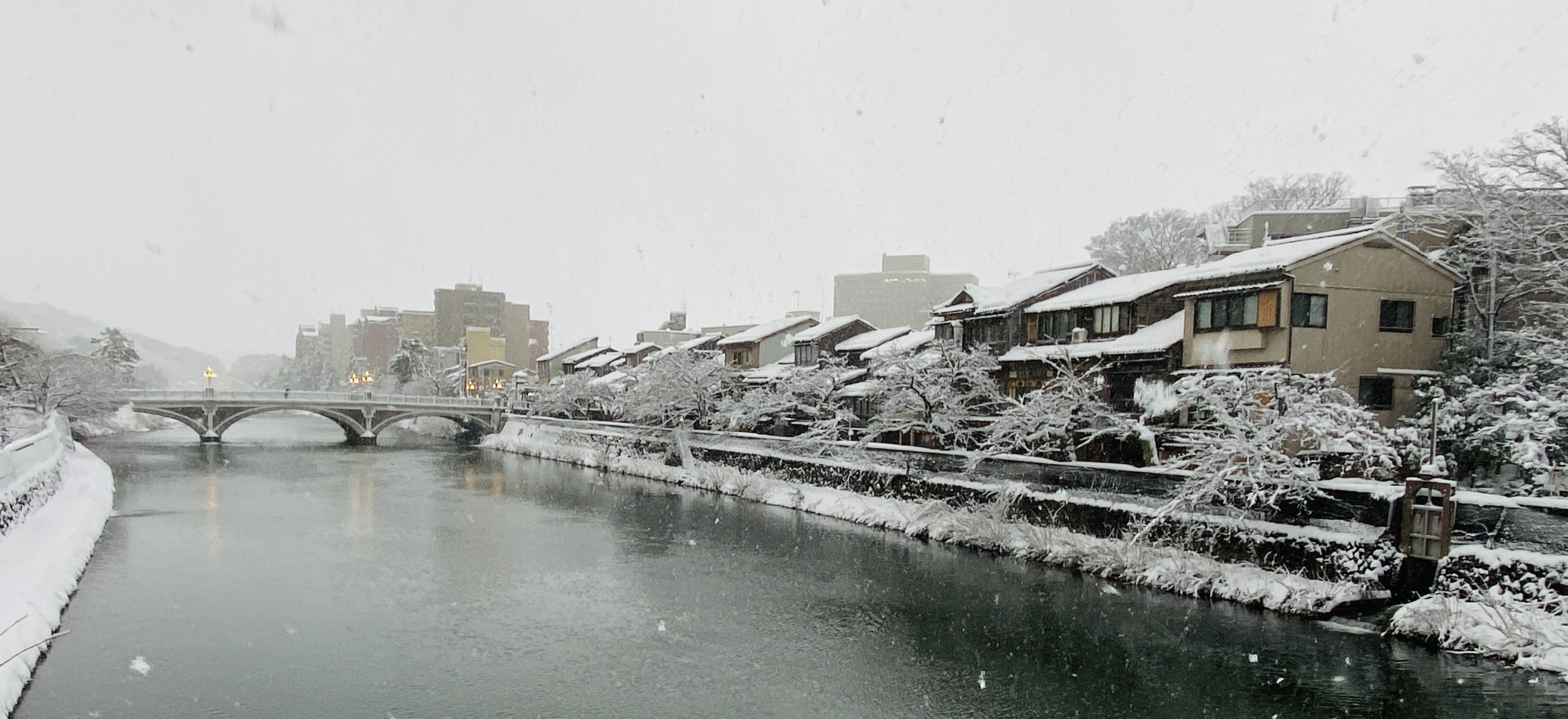 315/1095 ＊冬休み16／雪が降る２ （2月5日）