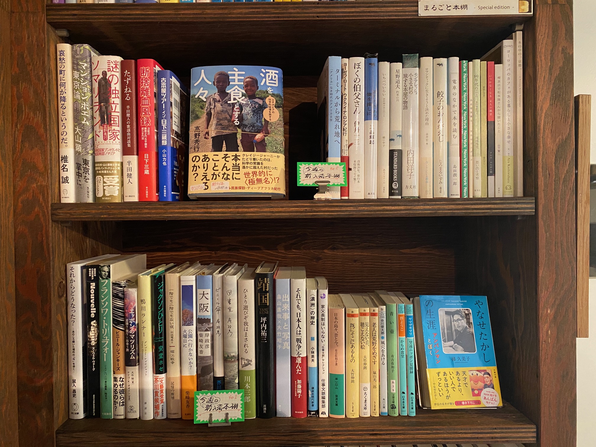 489/1095 ＊新入荷本棚（7月29日）