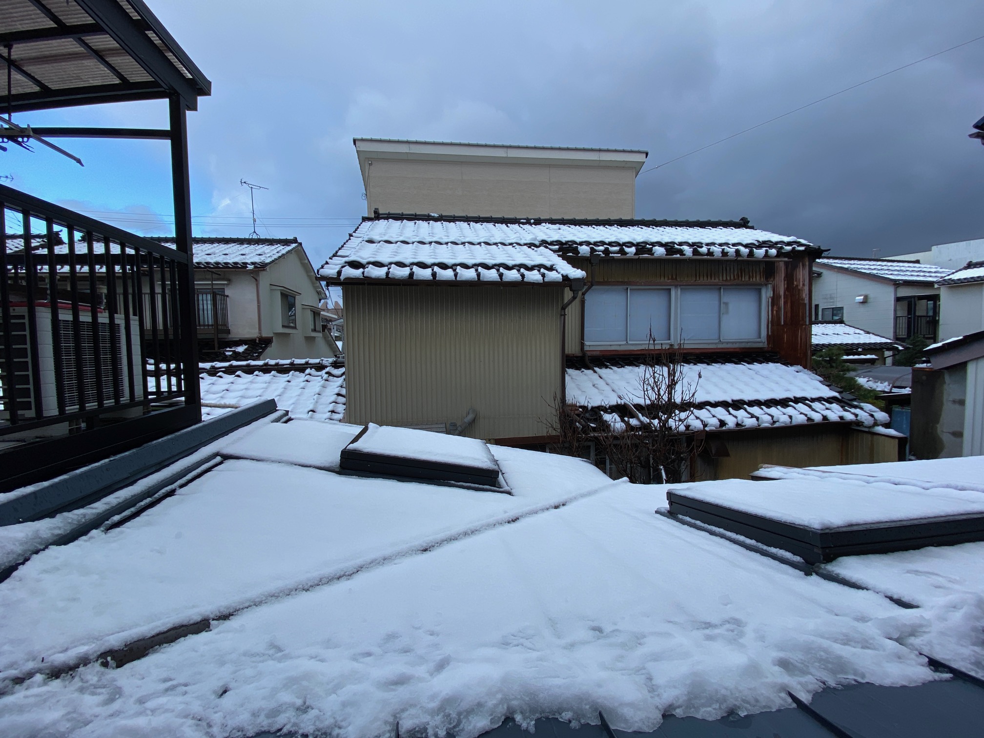 288/1095 ＊雪が降る１（1月9日）