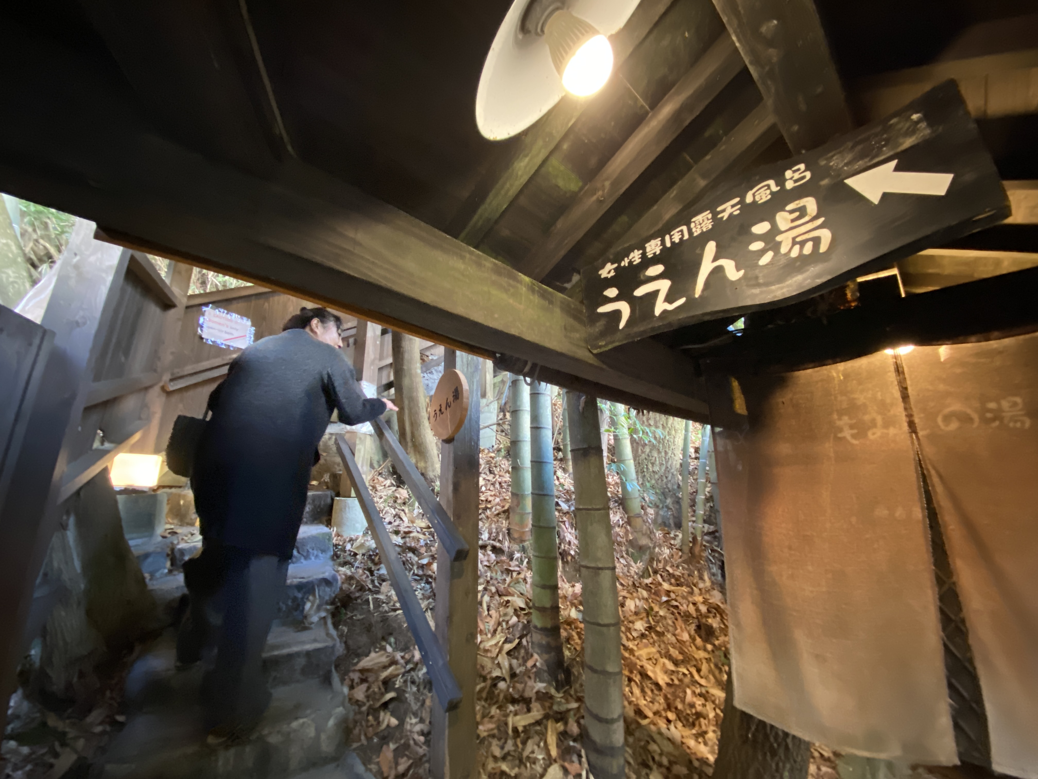 307/1095 ＊冬の旅４／いい湯だな  1748ｷﾛ（1月28日）