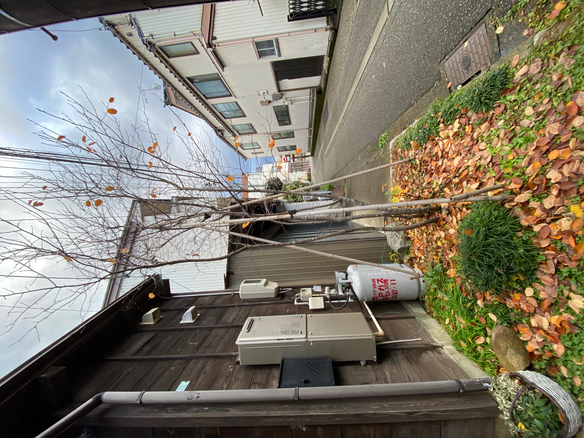 252/1095 ＊長い道のり３（12月4日）
